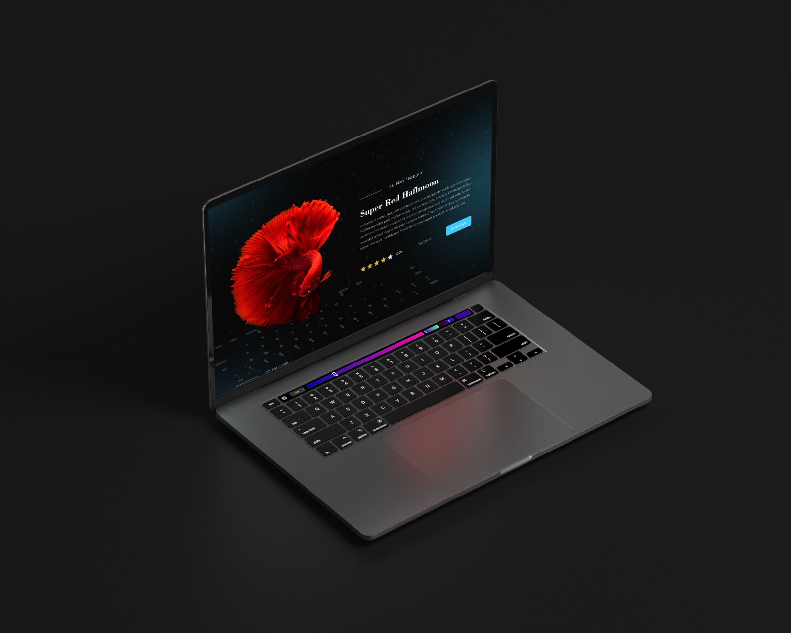 Portfolio Image